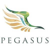 Pegasus _Eu