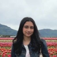 Widad Modak