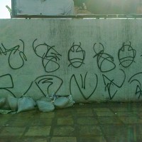 Troko Dn