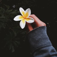 Jay Wong