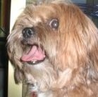 Nidia  elizabeth Gonzales  Puescas