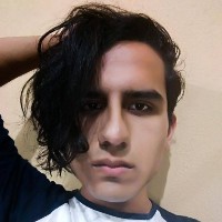 Diego Cerda Torres