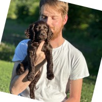 Jackson Roberson
