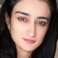 Amna Akbar