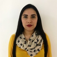 Ana Karen Herrera Hernández