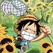Baki Saci