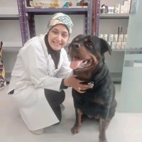 Salma Gamal
