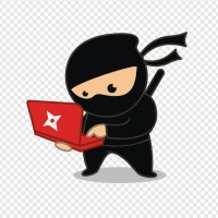 Ninja Spring