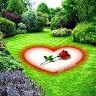 Samah Nabil