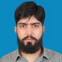 Waleed Tariq