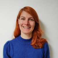 Veerle Dillen