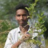 Ravat Chetan