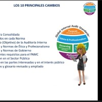 Raschel Peregrin - Ingeniero Control de Gestión