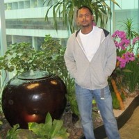 Amar N