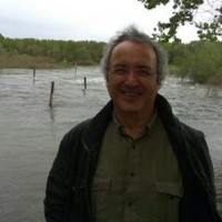 Cihat Yildiz