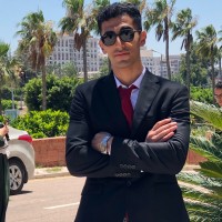 Moustafa Abdelsattar