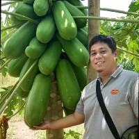 Roderick David Alinsugay