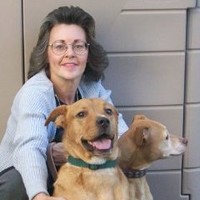 Lynne Miller