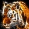 Tiger Do