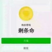 陈乐帆