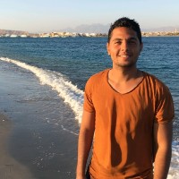 Mahmoud Alaa, Pmp®