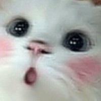 黄锐文