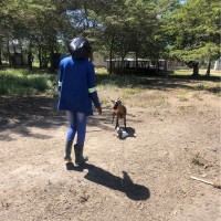 Tapiwa Tembo
