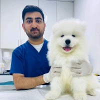Vet. Dr. Aqeel ur Rehman