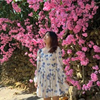 Thảo Linh Nguyễn