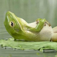 Ingrid Jaeger-Mollenhauer