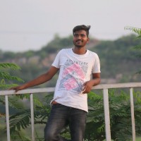 Vilas Raj