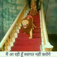 Rahul Barsu