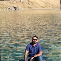 Naveed Gul
