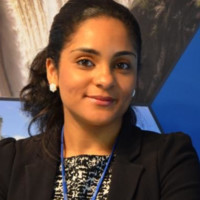 Áries Medina Pereira
