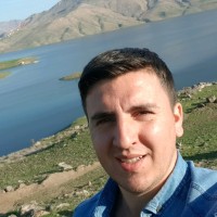Davut Dikmen