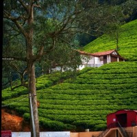 SATHYA S