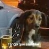 Jostin Carranza