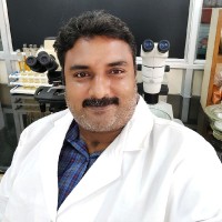 Rajakumar Ramadoss