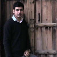 DIPIN BHAMBRI