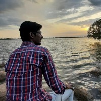 Mohanakrishnan V