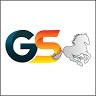 GOKULNATH P