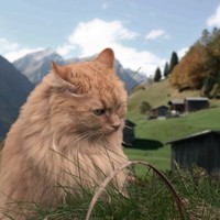 Catherine Trixie De Loire