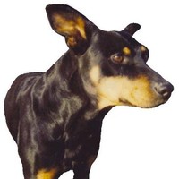 A  John Doe Homeless