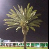 вαηღツ вღツ