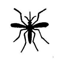 MOUSTIQUE Arles