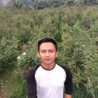 Burhanuddin Rabbani