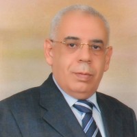 yehia hussein