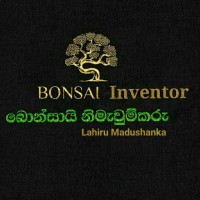 Srilanka Bonsai Man