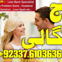 Taaj Bangali