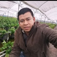 Francisco Iván Díaz Santis